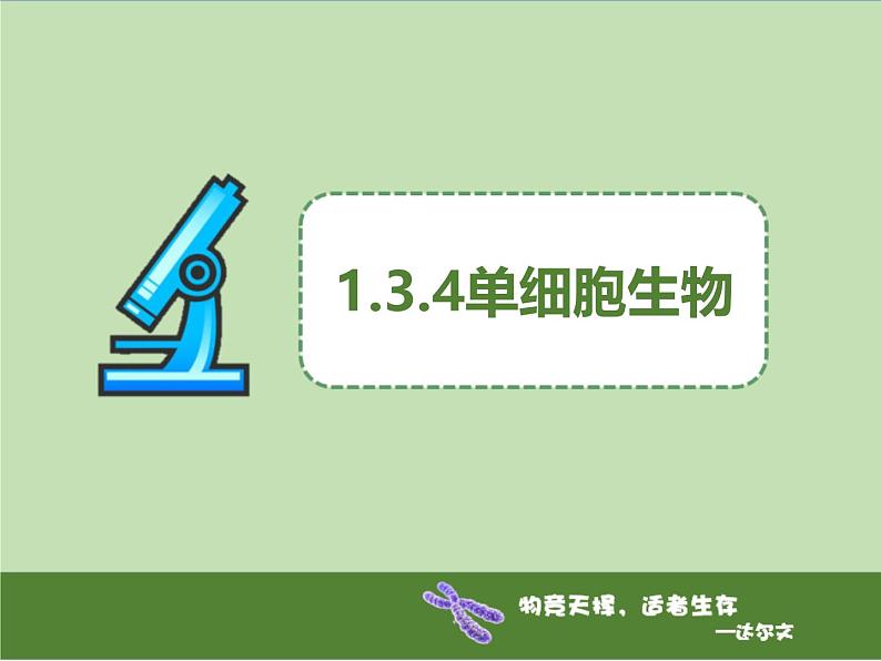 1.3.4单细胞生物 教学课件 人教版生物七年级上册01