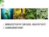 2.1.1藻类、苔藓和蕨类植物 教学课件 人教版 生物七年级 上册
