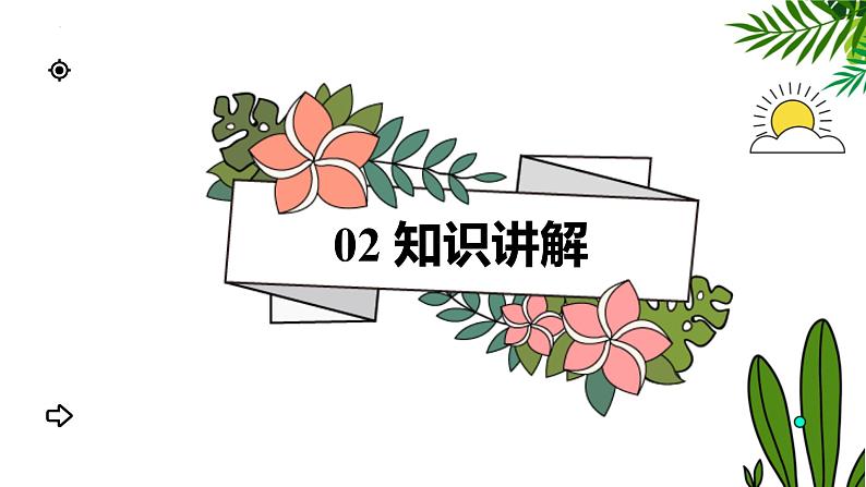 2.1.1藻类、苔藓和蕨类植物 教学课件 人教版 生物七年级 上册06