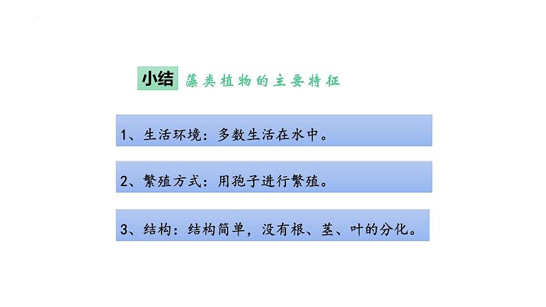 2.1.1藻类、苔藓和蕨类植物 教学课件 人教版 生物七年级上册07