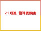 2.1.1藻类、苔藓和蕨类植物 教学课件 人教版生物七年级上册