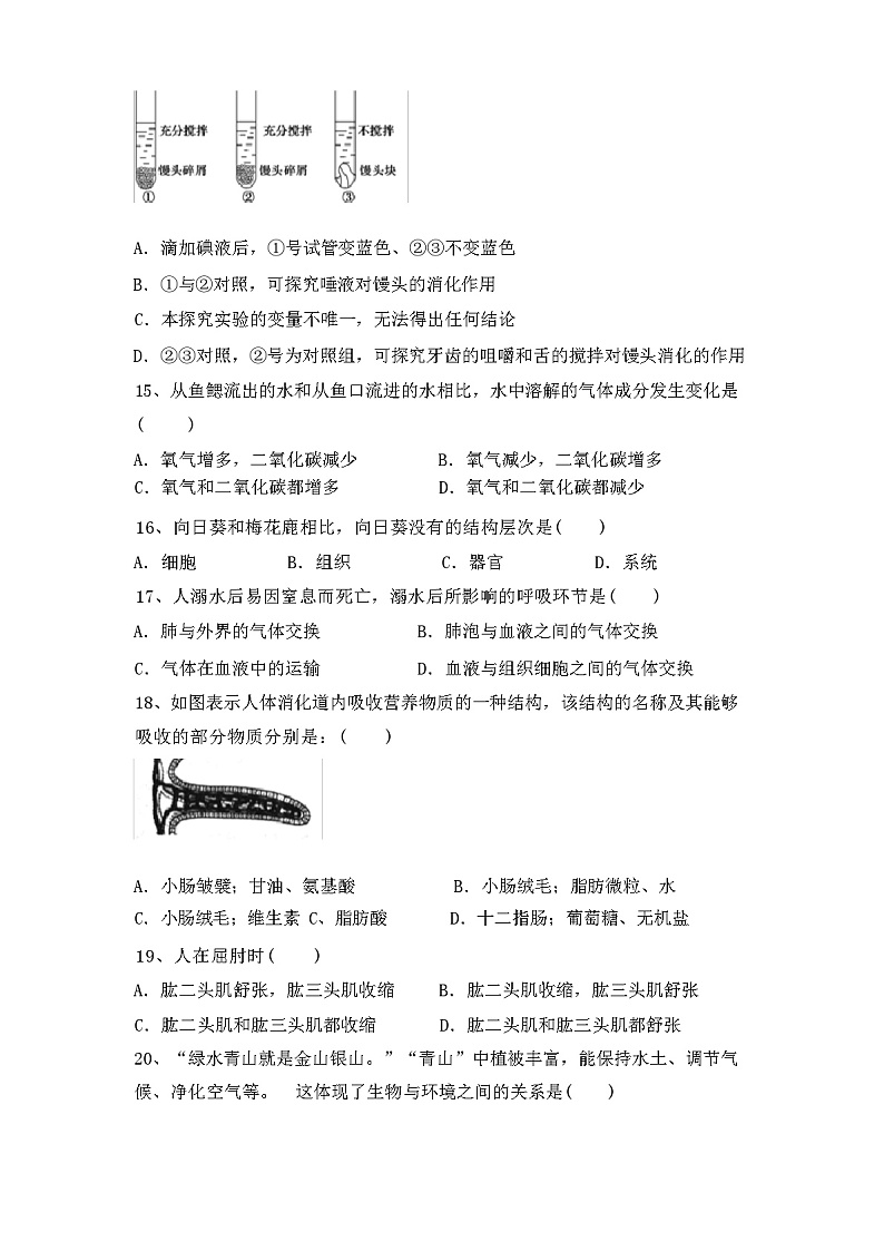人教版八年级生物(下册)期中试卷附答案03