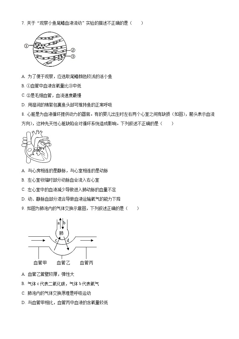 福建省龙岩市长汀县2023-2024学年七年级下学期期末生物试题（原卷版+解析版）03