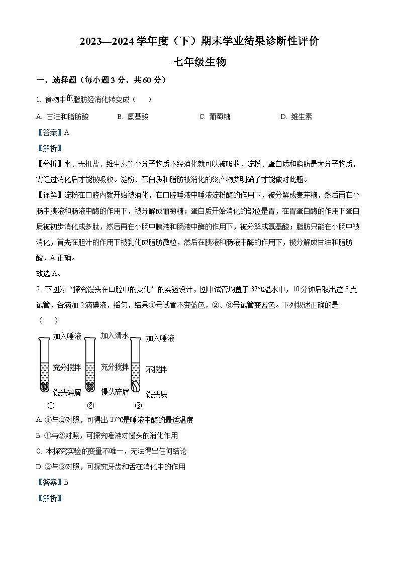 安徽省阜阳市界首市2023-2024学年七年级下学期期末生物试题（原卷版+解析版）01