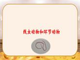 5.1.2 线虫动物和环节动物 -2024-2025学年生物八年级上册同步备课高效课件（统编版）