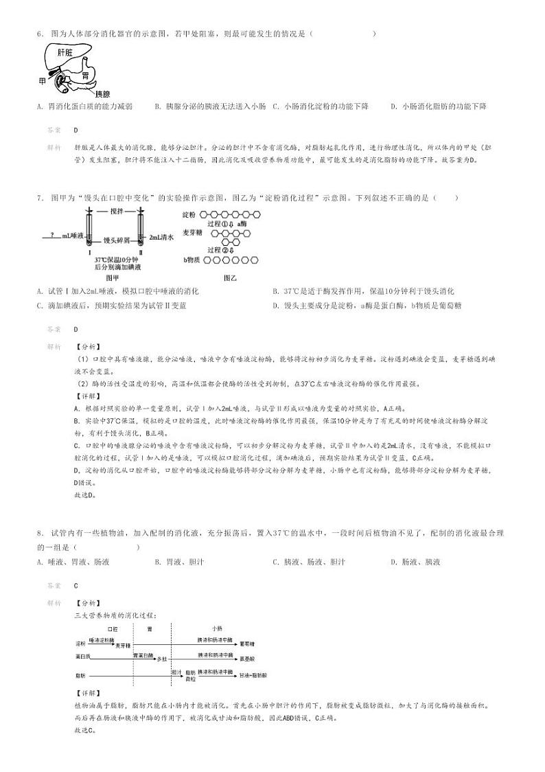 [生物]2023～2024学年广东东莞市初一下学期月考生物试卷第二次月考解析版第3页