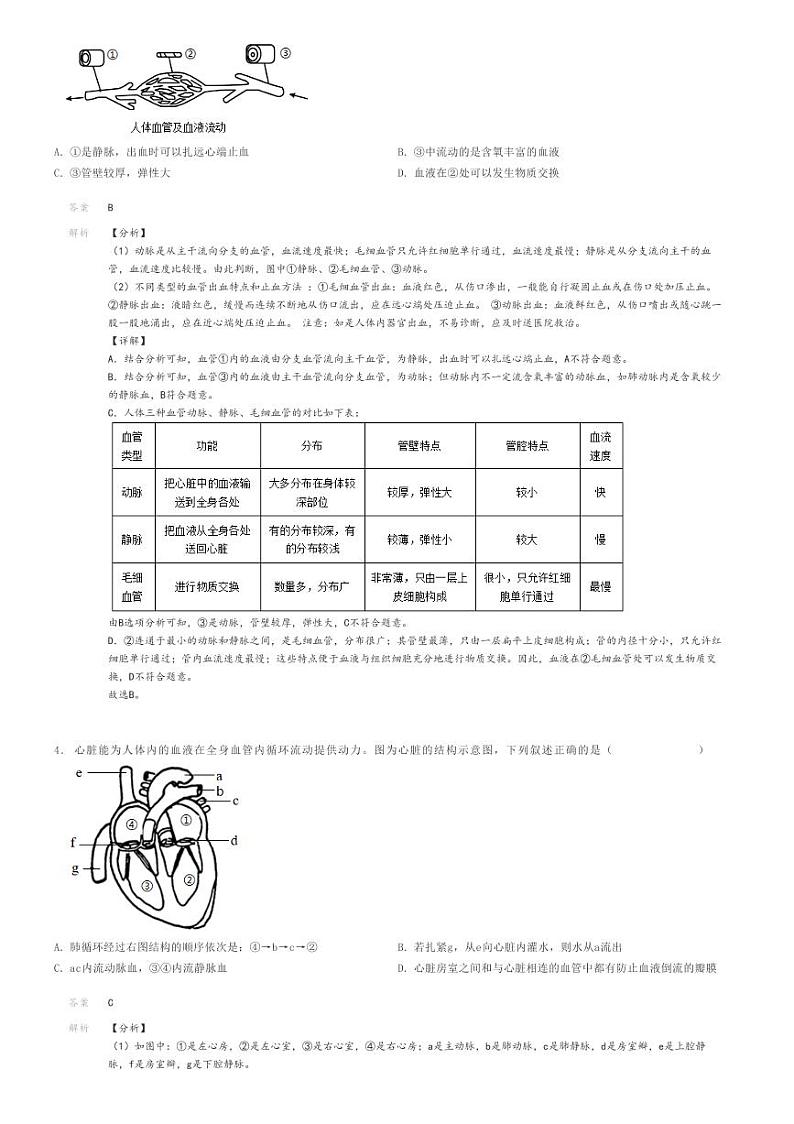 [生物]2023～2024学年湖北十堰初一下学期期末生物试卷(十堰城区)(原题版+解析版)03