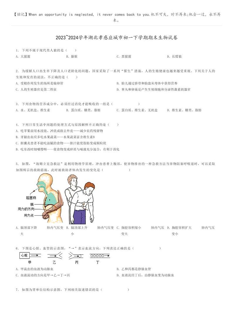 [生物]2023～2024学年湖北孝感应城市初一下学期期末生物试卷原题版第1页