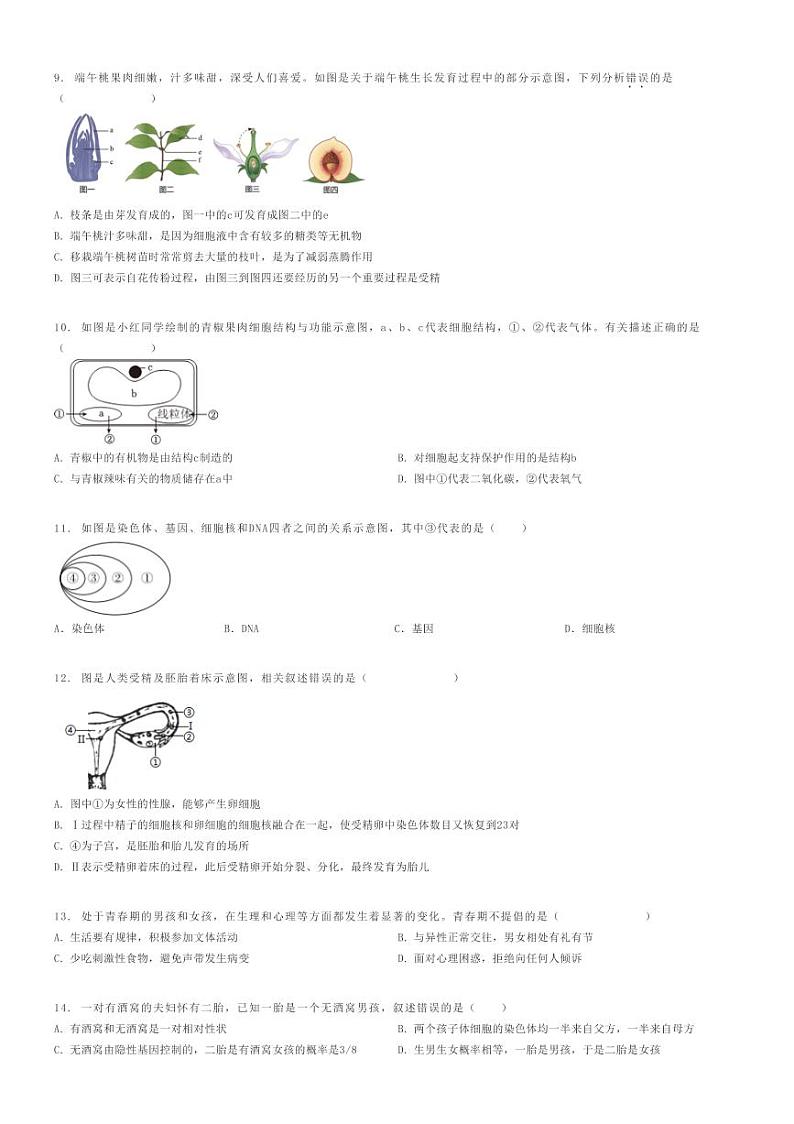 [生物]2023～2024学年四川内江初二下学期期中生物试卷第一中学原题版第2页