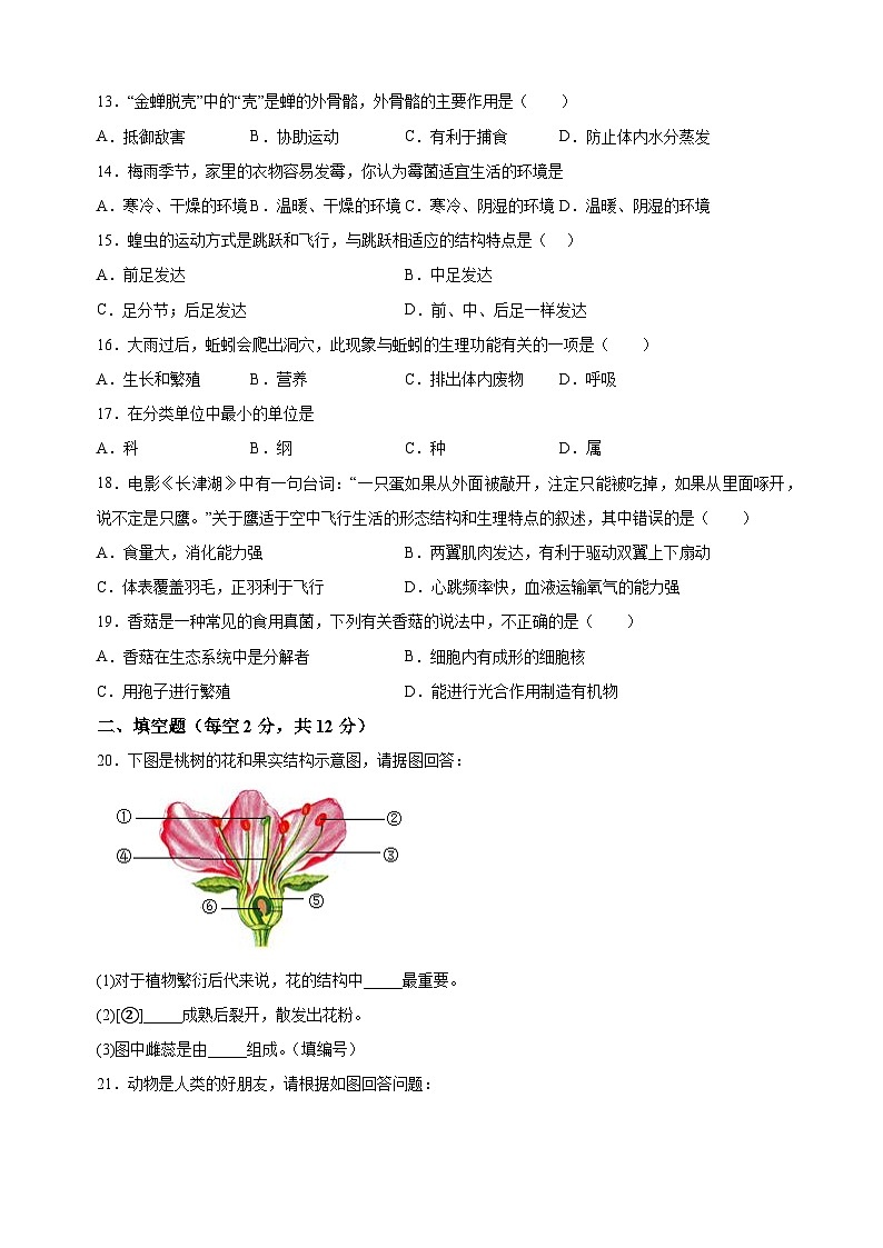 江苏省扬州市宝应县2023-2024学年七年级下学期期末生物试题（含答案解析）第2页