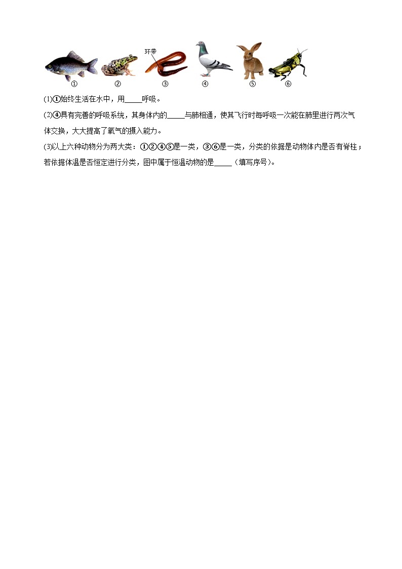 江苏省扬州市宝应县2023-2024学年七年级下学期期末生物试题（含答案解析）第3页