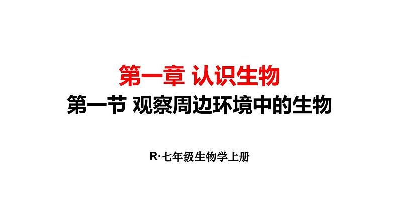 1.1.1 观察周边环境中的生物 课件-2024-2025学年人教版生物七年级上册01