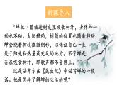 1.1.1 观察周边环境中的生物 课件-2024-2025学年人教版生物七年级上册