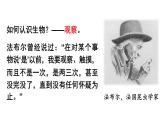 1.1.1 观察周边环境中的生物 课件-2024-2025学年人教版生物七年级上册