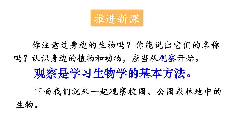 1.1.1 观察周边环境中的生物 课件-2024-2025学年人教版生物七年级上册08