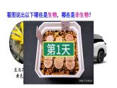 1.1.2 生物的特征 课件-2024-2025学年人教版生物七年级上册