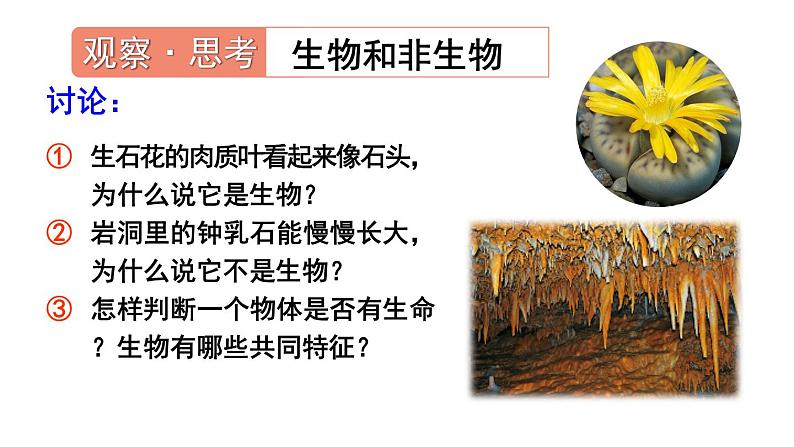 1.1.2 生物的特征 课件-2024-2025学年人教版生物七年级上册08