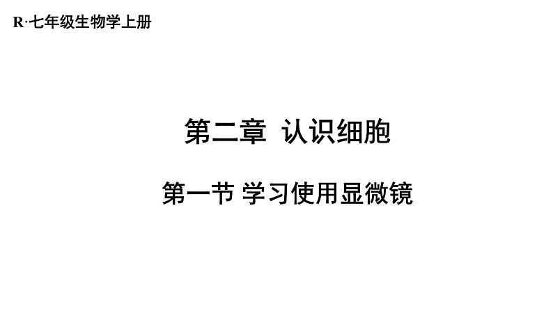 1.2.1 学习使用显微镜 课件-2024-2025学年人教版生物七年级上册04