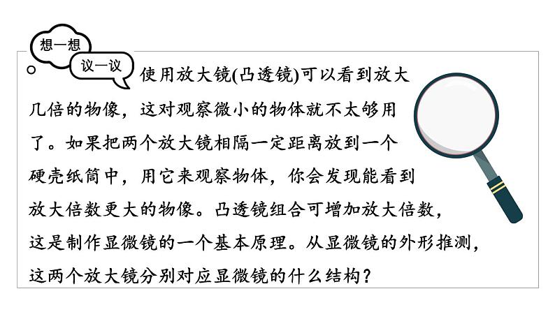 1.2.1 学习使用显微镜 课件-2024-2025学年人教版生物七年级上册06