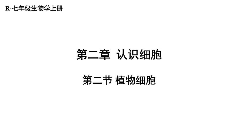 1.2.2 植物细胞 课件-2024-2025学年人教版生物七年级上册02