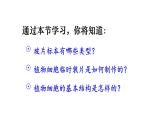 1.2.2 植物细胞 课件-2024-2025学年人教版生物七年级上册