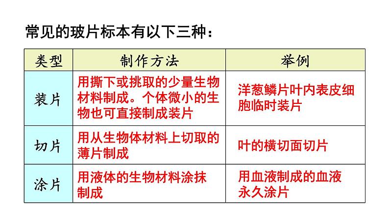 1.2.2 植物细胞 课件-2024-2025学年人教版生物七年级上册08