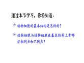 1.2.3 动物细胞 课件-2024-2025学年人教版生物七年级上册