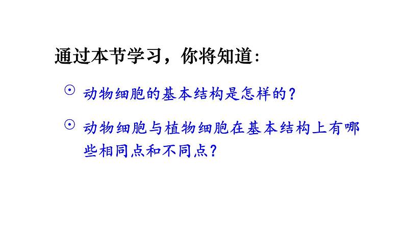 1.2.3 动物细胞 课件-2024-2025学年人教版生物七年级上册04