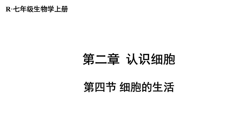 1.2.4  细胞的生活 课件-2024-2025学年人教版生物七年级上册01