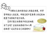 1.2.4  细胞的生活 课件-2024-2025学年人教版生物七年级上册