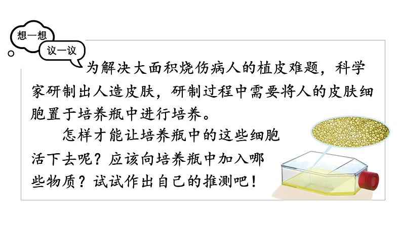 1.2.4  细胞的生活 课件-2024-2025学年人教版生物七年级上册04