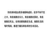 1.2.4  细胞的生活 课件-2024-2025学年人教版生物七年级上册