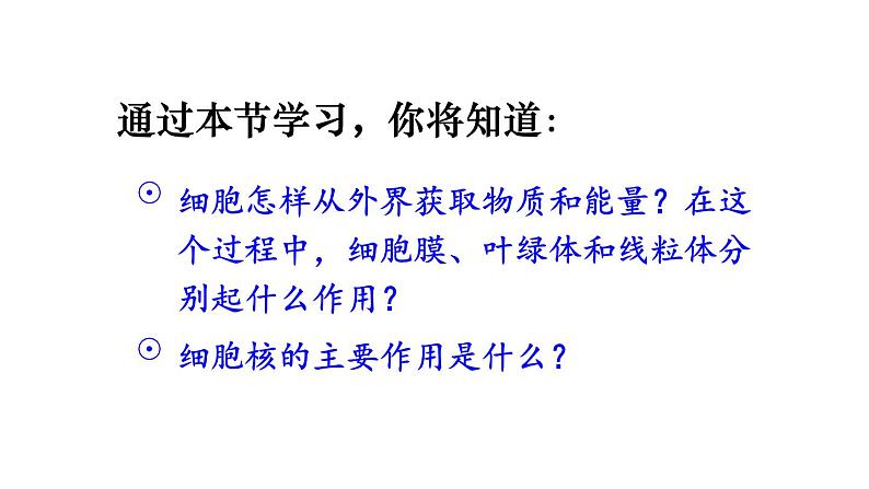 1.2.4  细胞的生活 课件-2024-2025学年人教版生物七年级上册06