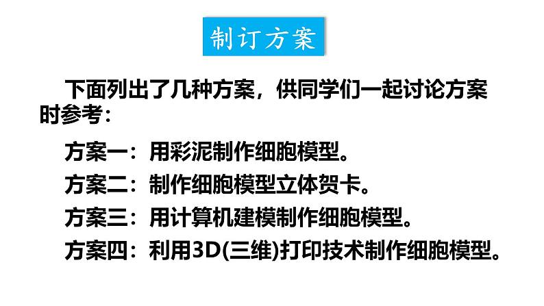 综合实践项目 制作细胞模型  课件-2024-2025学年人教版生物七年级上册04