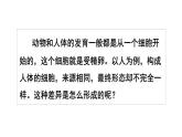 1.3.2 动物体的结构层次  课件-2024-2025学年人教版生物七年级上册