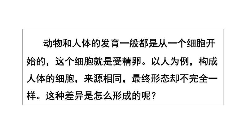 1.3.2 动物体的结构层次  课件-2024-2025学年人教版生物七年级上册03