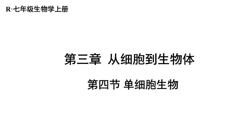 1.3.4 单细胞生物 课件-2024-2025学年人教版生物七年级上册01