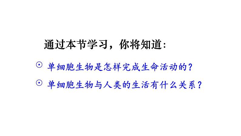 1.3.4 单细胞生物 课件-2024-2025学年人教版生物七年级上册05