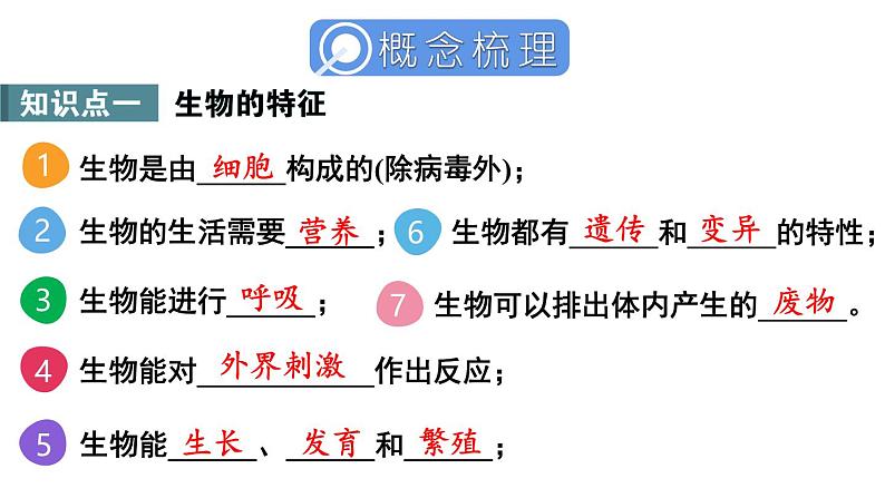 第1单元 生物和细胞 单元小结 课件-2024-2025学年人教版生物七年级上册03