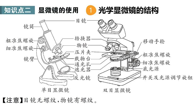 第1单元 生物和细胞 单元小结 课件-2024-2025学年人教版生物七年级上册05