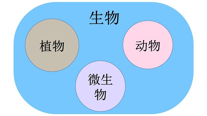 第一节 藻类、苔藓和蕨类第2页