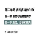 2.1.1 藻类、苔藓和蕨类植物 课件-2024-2025学年人教版生物七年级上册