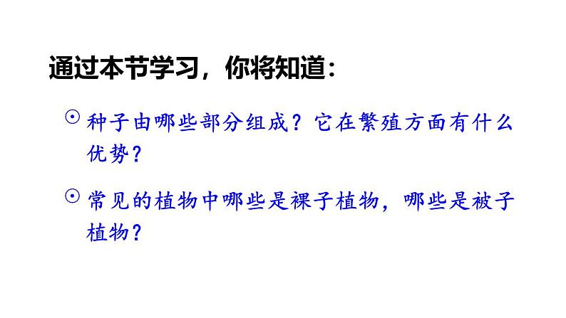 2.1.2 种子植物 课件-2024-2025学年人教版生物七年级上册07