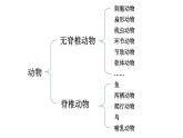 2.2.1 无脊椎动物 课件-2024-2025学年人教版生物七年级上册