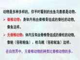 2.2.1 无脊椎动物 课件-2024-2025学年人教版生物七年级上册