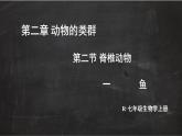 2.2.2 脊椎动物 一 鱼 课件-2024-2025学年人教版生物七年级上册