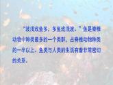 2.2.2 脊椎动物 一 鱼 课件-2024-2025学年人教版生物七年级上册