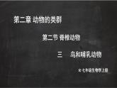 2.2.2 脊椎动物 三 鸟和哺乳动物 课件-2024-2025学年人教版生物七年级上册