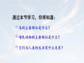 2.2.2 脊椎动物 三 鸟和哺乳动物 课件-2024-2025学年人教版生物七年级上册