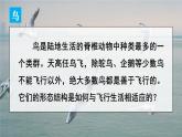 2.2.2 脊椎动物 三 鸟和哺乳动物 课件-2024-2025学年人教版生物七年级上册